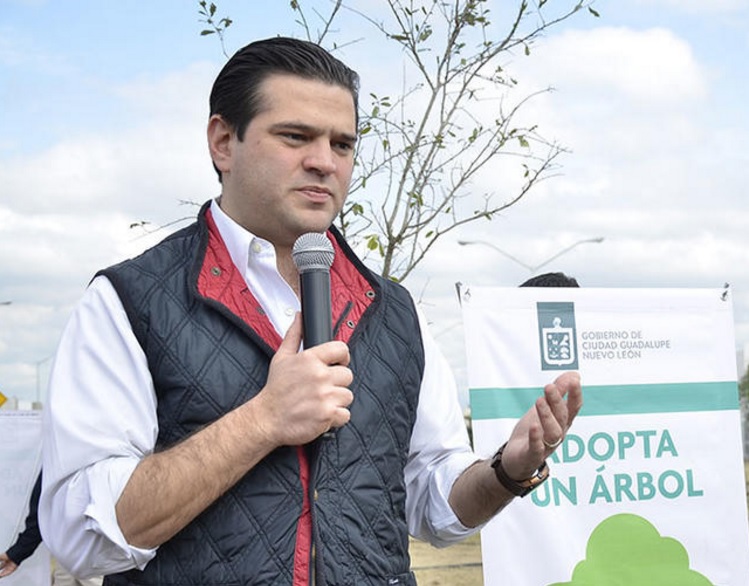 paco cienfuegos árboles