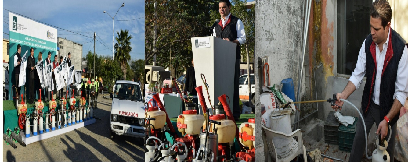 paco fumigando